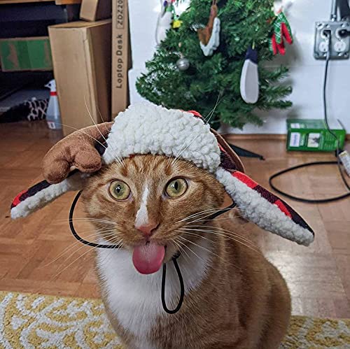 Huxley & Kent Hat | Fun Christmas Holiday Hat for Dogs/Cats | Cute, Comfortable and Fun | SnugFit Strings for Best Fit Antler Buffalo Check Large - BeesActive Australia