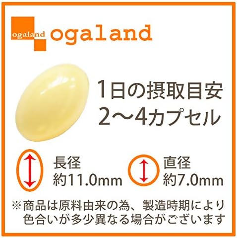 [With translation] Ogaland Bifidobacterium (Set of 3 / Approximately 3 months supply) For those who don't like dairy products (Beauty support/Health support) Galacto-oligosaccharide/Intestinal activity *Expiration date: End of June 2024* - BeesActive Australia