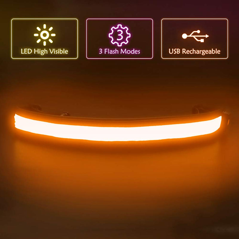 Illumifun Elastic LED Running Belt - USB Rechargeable - Glowing LED Waistband, High Visibility Waist Light, Light Up Safety Gear for Running, Cycling, Camping, Walking, etc Orange - BeesActive Australia