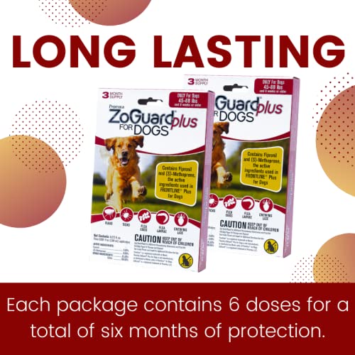 ZoGuard Plus Flea and Tick Prevention for Dogs (Large - 45-88 lb) 6 Dose - BeesActive Australia