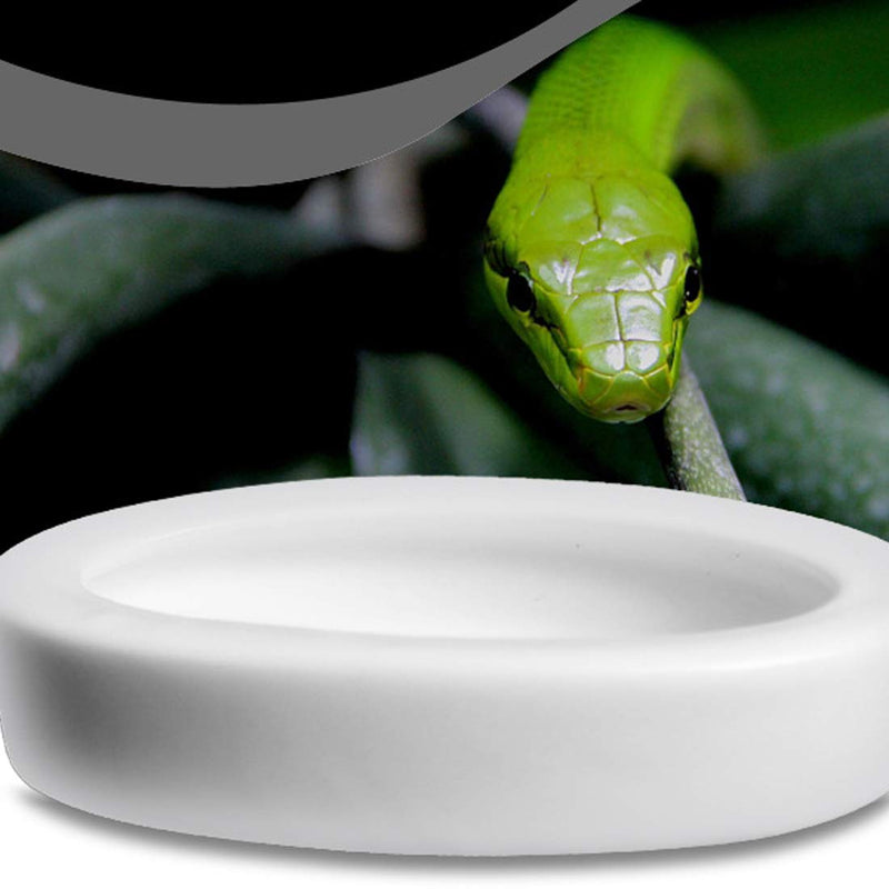 Fuongee Reptile Worm Feeding Dish Bowls Gecko Lizard Feeder Dish with Feeding Tong, 2 Bowls and 1 Feeding Tong, Ceramic Mini Size - BeesActive Australia
