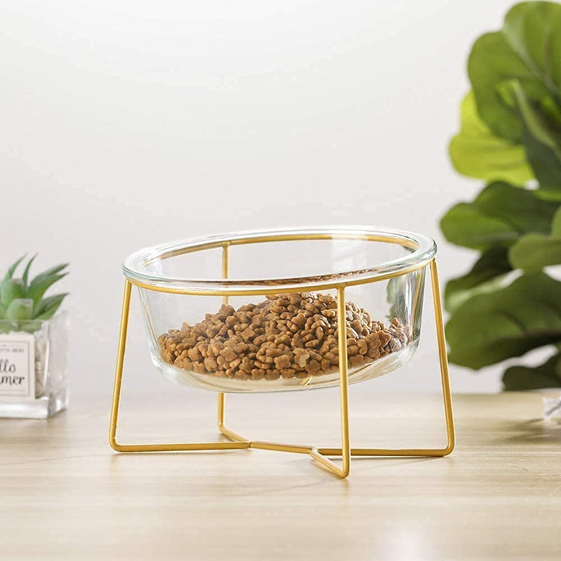 Glass Raised Cat Bowls or Small Dog Dishes with Gold Metal Stand,Anti Vomiting Tilted Transparent Pet Bowl, Elevated Food or Water Bowl Set with Grey Silicon Clouds Waterproof Mat 1 x 20oz bowl+1 mat - BeesActive Australia