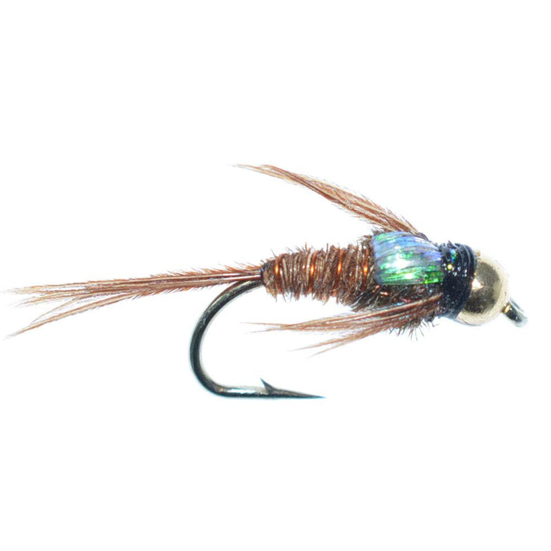 The Fly Fishing Place Bead Head Flash Back Pheasant Tail Nymph Fly Fishing Flies - Trout and Bass Wet Fly Pattern - 6 Flies Hook Size 14 - BeesActive Australia