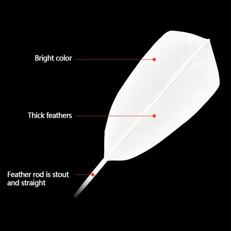 KEVENZ Goose Feather Badminton Shuttlecocks with Great Stability and Durability, High Speed Badminton Birdies White - BeesActive Australia