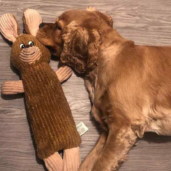 Snuggle Puppy Tender-Tuffs Quiet Bottle Cruncher Plush Dog Toys Bundle - Whisper Rabbit and Rocco Rocket Bottle Toys - Tough Cute Toys with No Squeaker - BeesActive Australia