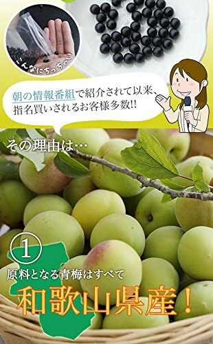 Fukami Umeten Plum Extract Tablets Made from Green Plums 6.3 oz (180 g) (Approx. 6-month Supply, 1,080 Tablets). - BeesActive Australia