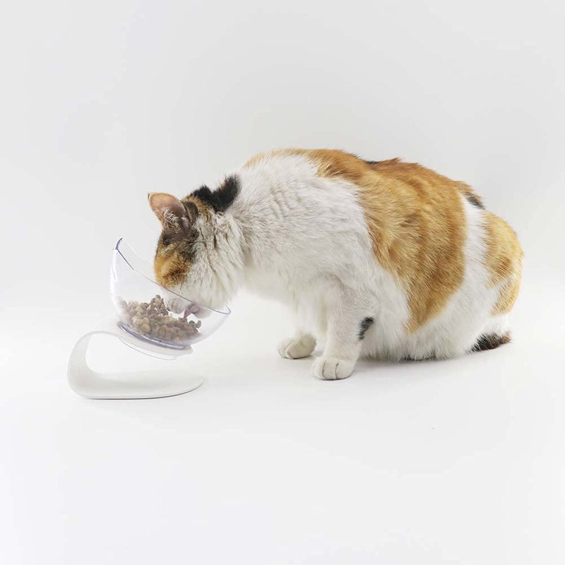 QIYADIN Tilted Raised Posture Cat Food Bowl Neck Protection Anti Vomiting 15 Degree Elevated Slanted Stand Pet Bowls for Cats and Small Dogs (1)Single - BeesActive Australia