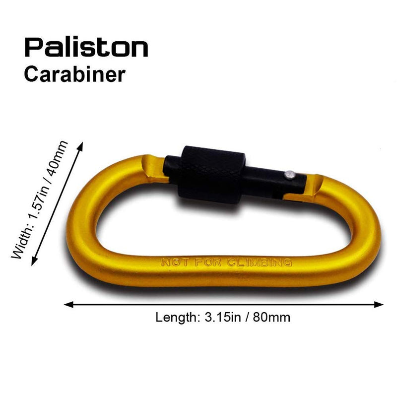 Paliston 10 pcs Locking Carabiner Aluminum D Ring Key Rings Hiking Clips for Hiking Camping Fishing and Outdoor Use 10pcs Assorted Colors - BeesActive Australia