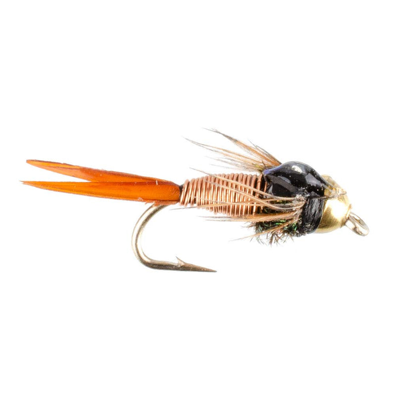 The Fly Fishing Place Basics Collection - Bead Head Copper John Assortment - 10 Wet Flies - 5 Patterns - Hook Sizes 14, 16, 18 - BeesActive Australia
