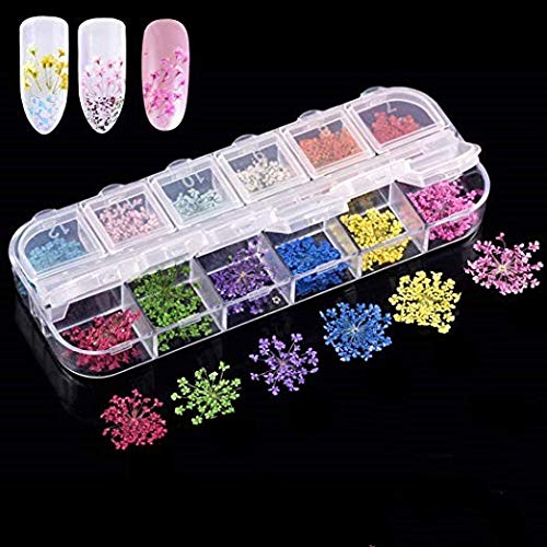 Valuu 3D Nail Art Dried Flowers Sticker 12 Colors Natural Real Dry Flower Nail Art Decoration Lovely Flower Beauty Nail Stickers for 3D Nail Art Acrylic UV Gel Tips 2 - BeesActive Australia