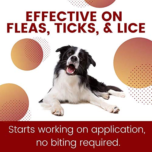 ZoGuard Plus Flea and Tick Prevention for Dogs (Large - 45-88 lb) 6 Dose - BeesActive Australia