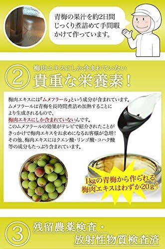 Fukami Umeten Plum Extract Tablets Made from Green Plums 6.3 oz (180 g) (Approx. 6-month Supply, 1,080 Tablets). - BeesActive Australia