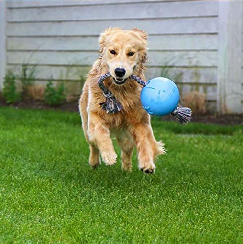 Jolly Pets Romp-n-Roll Rope and Ball Dog Toy 6 Inches/Medium Blueberry - BeesActive Australia
