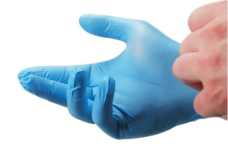 Kingfisher Powder Free Vinyl Gloves, Blue, Large - Pack of 100 100 Count (Pack of 1) Transparent - BeesActive Australia
