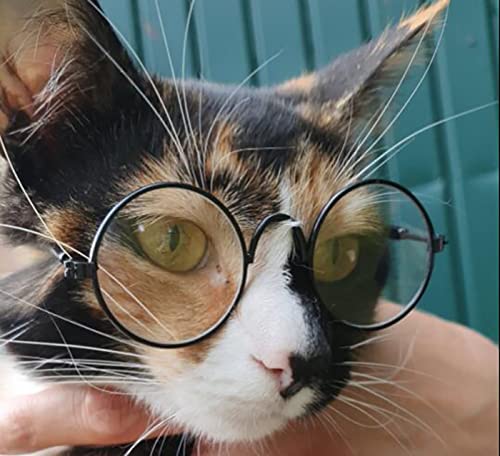 YAODHAOD Pet Sunglasses Classic Retro Circular Metal Prince Sunglasses Funny Cute Puppy Cat Teacher Bachelor Cosplay Glasses Pet Photos Props for Small Dog Cat Transparent - BeesActive Australia