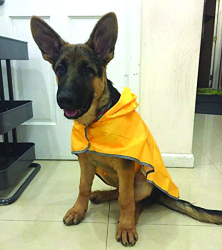 RC Pet Products Packable Dog Rain Poncho Medium Sunshine 1 - BeesActive Australia