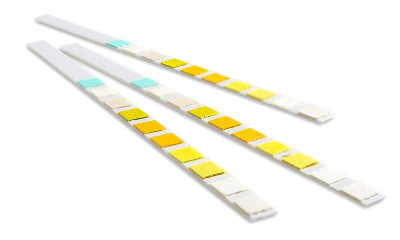 2 x Urine Infection Test Strips UTI Testing Sticks, Nitrite, Leukocytes and Blood Kits - BeesActive Australia