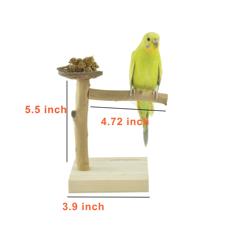 GUANLANT Natural Wood Bird Stands Feeder Toys, Tabletop Portable Training Parrots Perch Playstands Feeding Bowl Treats Toys,Bird Cage Playground Accessories for Parakeets Conure Budgies Lovebirds - BeesActive Australia