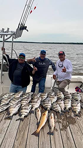 Fairhope Rattle Popping Cork Float for Redfish Handmade in Alabama Durable and High Visibility Freshwater and Saltwater Bobbers Speckled Trout, Sheepshead, Flounder - BeesActive Australia