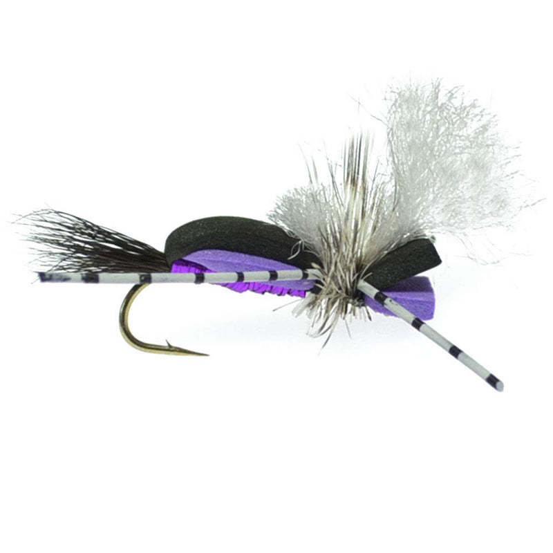 The Fly Fishing Place Hippie Stomper Black Purple Foam Body Trout Bass Dry Fly Fishing Flies - Set of 4 Hook Size 10 - BeesActive Australia