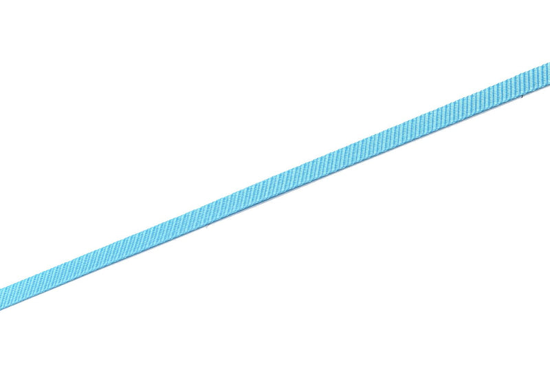 Durable Nylon Dog Leash 4 Ft 5 Feet 6 Foot Long, Walking Training Dog Leashes for Medium Large Dogs, 1 Inch Wide 1" X 6 ft Blue - BeesActive Australia