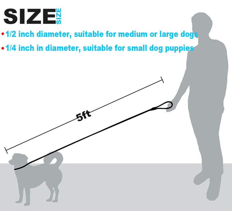 Mycicy Durable Slip Lead Dog Leash,1/2" and 1/4" 5ft No Pull Slip-on Training Leash for Small and Medium Large Dogs 1/4" x 5Ft Black - BeesActive Australia