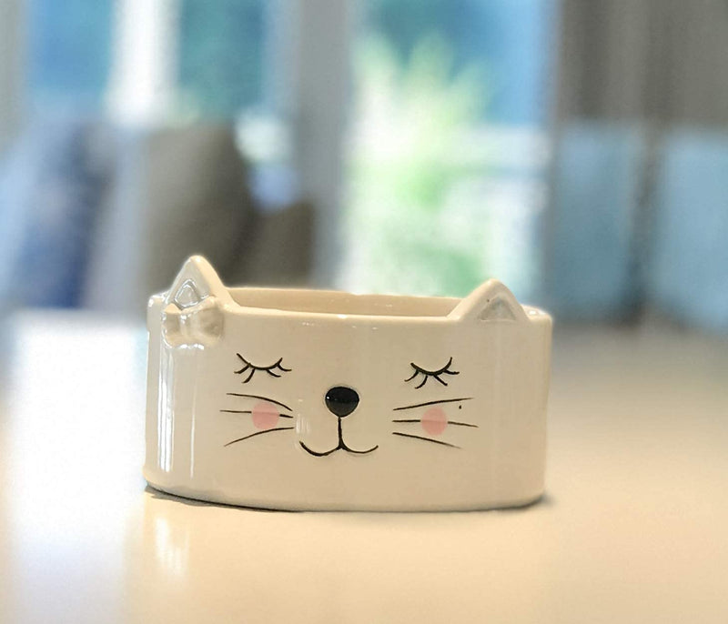 Kurrajong Farmhouse Set of 2 Ceramic cat Food Bowls for Indoor Cats | Two Ceramic Cat Dishes for Food and Water | Cute Kitten Bowls - BeesActive Australia