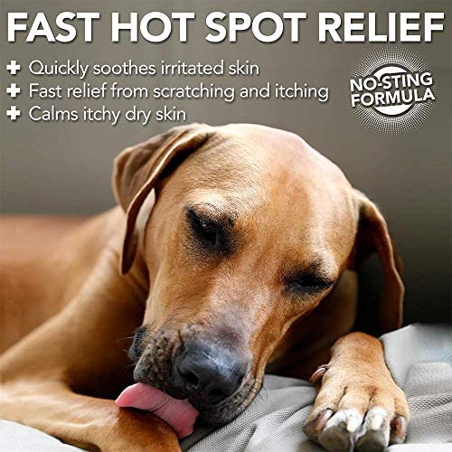Vet's Best Hot Spot Itch Relief Shampoo for Dogs | Relieves Dog Dry Skin, Rash, Scratching, Licking, Itchy Skin, and Hot Spots | 16 Ounces - BeesActive Australia