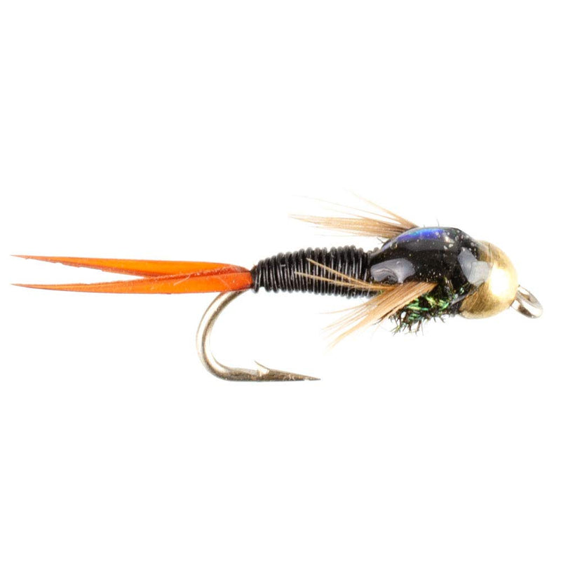 The Fly Fishing Place Basics Collection - Bead Head Copper John Assortment - 10 Wet Flies - 5 Patterns - Hook Sizes 14, 16, 18 - BeesActive Australia