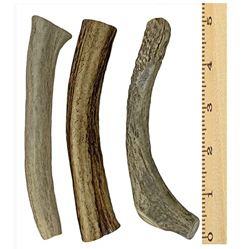 WhiteTail Naturals | 3 Pack | Deer Antler Dog Chews | All Natural Antlers for Dogs Medium (Pack of 3) - BeesActive Australia