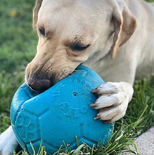 Jolly Pets Soccer Ball Floating-Bouncing Dog Toy Large/X-Large: 8 Inch Diameter Ocean Blue - BeesActive Australia