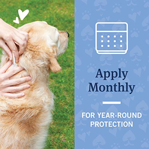 PetArmor Max Flea, Tick and Mosquito Prevention for Large Dogs (21 to 55 Pounds), 6 Monthly Treatments - BeesActive Australia