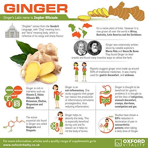Ginger Tablets | High Strength 1000mg Ginger Root Extract Supplement | for Sickness, Nausea & Joint Pain | Oxford Vitality 120 Count (Pack of 1) - BeesActive Australia
