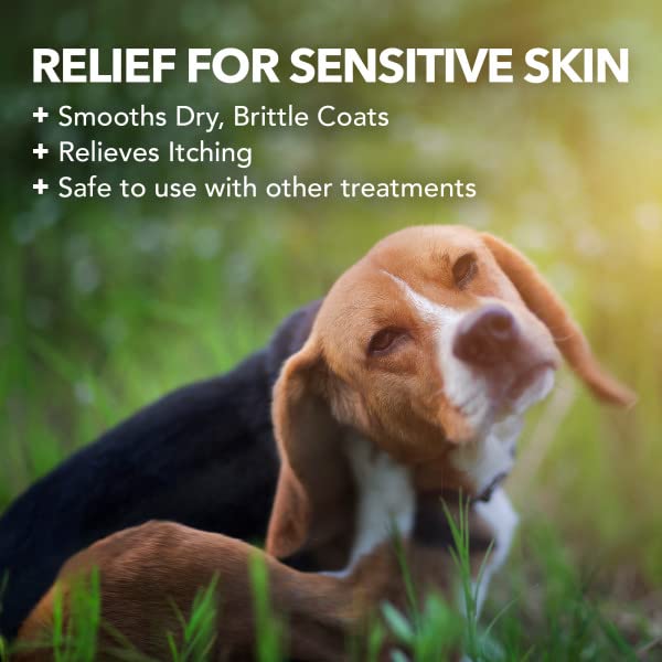 Vet's Best Hypo-Allergenic Shampoo for Dogs | Dog Shampoo for Sensitive Skin | Relieves Discomfort from Dry, Itchy Skin | Cleans, Moisturizes, and Conditions Skin and Coat - BeesActive Australia