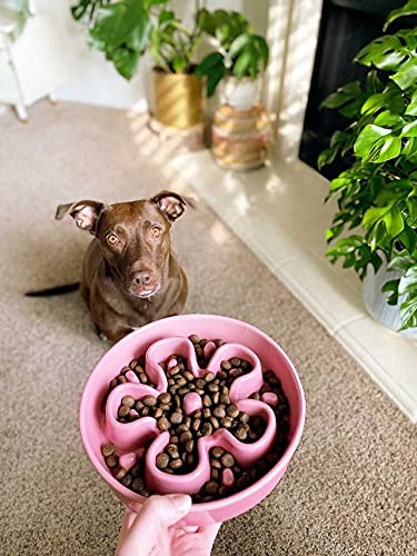 LE TAUCI Dog Bowl Slow Feeder Ceramic, 1.5 Cups Slow Feeding Dog Bowl Small Medium Breed, Puppy Slow Feeder Bow for Fast Eaters, Dog Dishes to Slow Down Eating, Puzzle Dog Food Bowl - BeesActive Australia