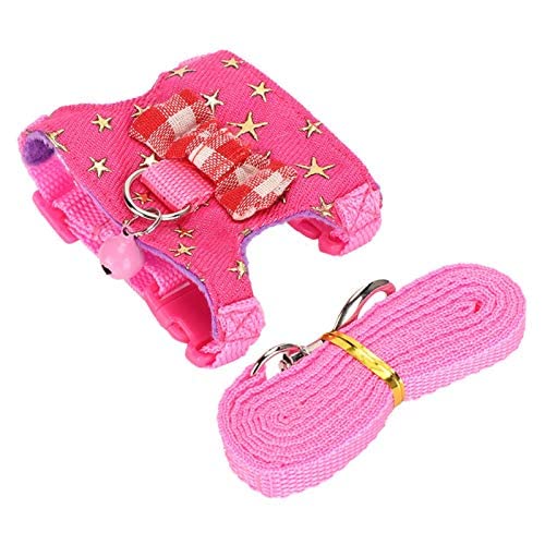 with Soft Texture Outdoor Chest Strap Ferret Leash Pet Harness Ferret Pet Supplies S number - BeesActive Australia
