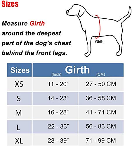 PoyPet No Pull Dog Harness, Reflective Vest Harness with 2 Leash Attachments and Easy Control Handle for Small Medium Large Dog Mint Blue - BeesActive Australia