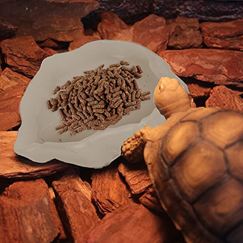 Tfwadmx Reptile Food and Water Bowl Set Luminous Bearded Dragon Dishes Tortoise Feeder Lizard Habitat Large and Small Amphibian Feeding Plates Terrarium DéCor for Turtle Gecko Snake Tegu Iguana 2 Pcs White - BeesActive Australia