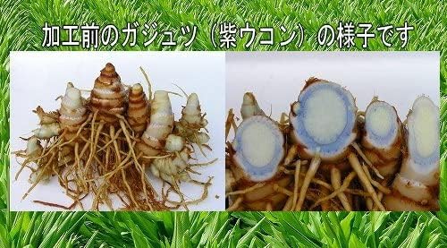 Yakushima gazyutu (Purple) Pills Turmeric 600 Grain - BeesActive Australia