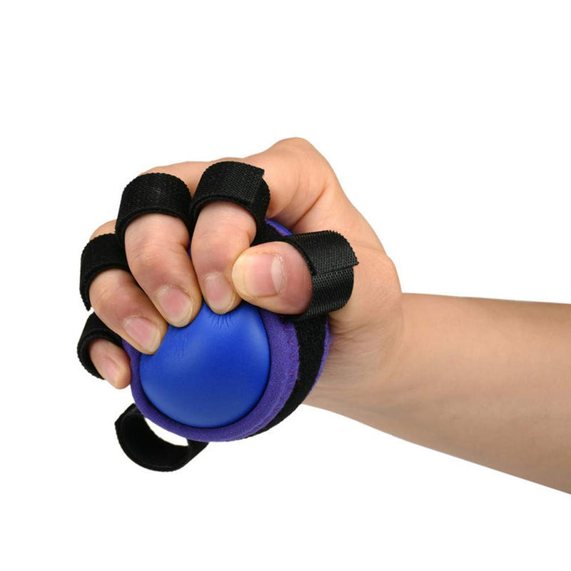 Wrist gyro Ball, Five Finger Grip Ball Stroke Hemiplegia Rehabilitation Training Equipment Elderly Exercise Finger Strength Wrist Grip Force Grip - BeesActive Australia