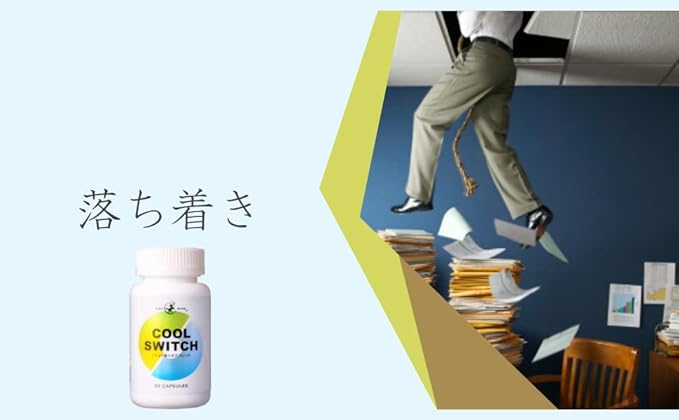 [Concentration, Study, Motivation, Calm Daily Supplement] Chiron COOL SWITCH Ginkgo Biloba 120mg Phosphatidylserine Soybean Extract 100mg American Ginseng 200mg Bacopa 16mg as Bacopa Saponin 2cap Syne - BeesActive Australia