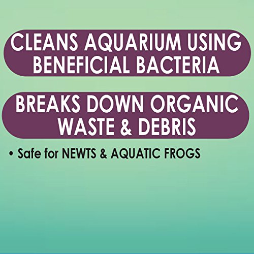 API Turtle Sludge Destroyer, 8-Ounce [2-Pack] - BeesActive Australia