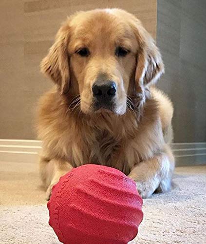 Jolly Pets Tuff Tosser Bouncing Ball Tog Toy/Treat Holder, 4 Inches, Red Red 4" Tuff Tosser - BeesActive Australia