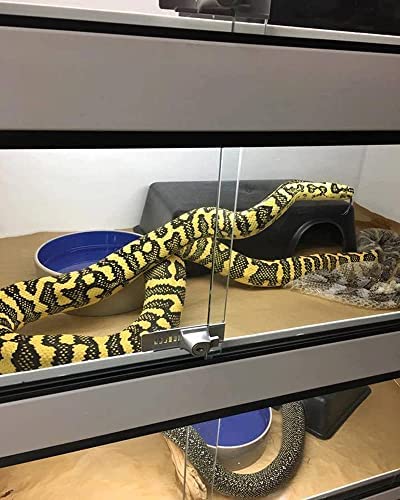 SDZGQPET Amypet Different Size Reptile Use Hide Cave for Snakes,Reptiles, Ball Pythons Durable Material Easy to Clean… L - BeesActive Australia