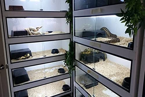 SDZGQPET Amypet Different Size Reptile Use Hide Cave for Snakes,Reptiles, Ball Pythons Durable Material Easy to Clean… L - BeesActive Australia