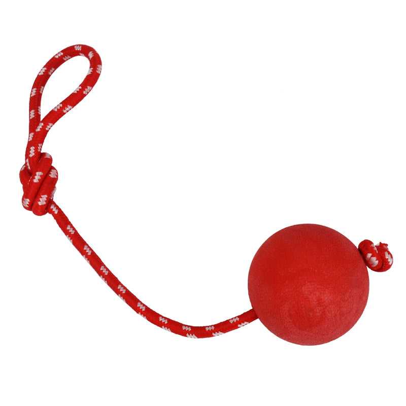 EDMISU Dog Leash Toys with Large Balls 2 Pack Dog Chew Toys Puppy Teething Toys Training Balls with Leash Exercise Toys for Large Medium Dogs - BeesActive Australia