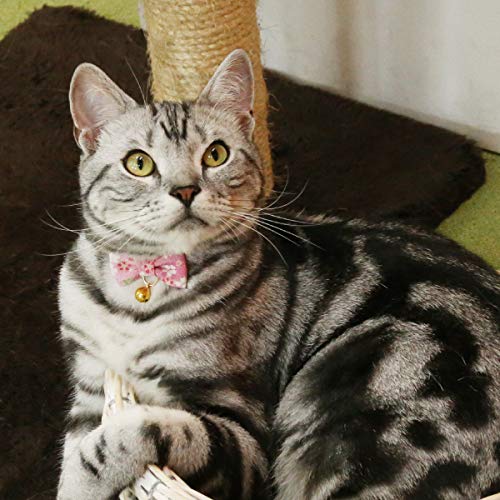 PetSoKoo Bowtie Chirimen Cat Collar with Bell. Japan Flower Bow Tie Style. Safety Breakaway & Light Weight, Soft, Comfortable, Durable Standard (6-13 inch,16-32cm) Sakura Pink - BeesActive Australia