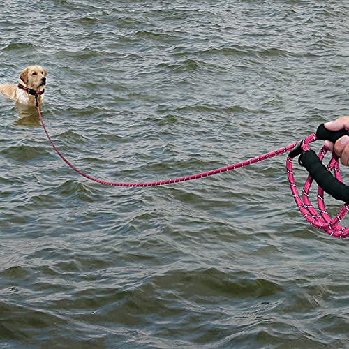 Plutus Pet Long Rope Dog Leash, with Comfortable Padded Handle, Reflective Nylon Heavy Duty Rope Leash, 15FT 20FT 30FT Dog Training Leash for Small Medium Large Dogs 2/5"x30' PINK - BeesActive Australia
