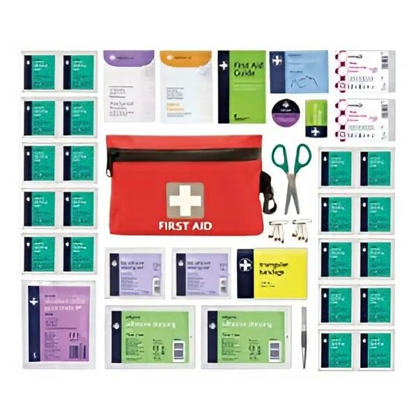 Lewis-Plast Premium 92 Piece First Aid Kit - Safety Essentials for Travel, Car, Home, Camping, Work, Hiking & Holiday Red , Small - BeesActive Australia