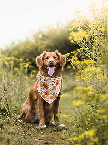Elegant little tail Dog Bandanas - 1Pack Pet Gift Washable Dog Scarf Square Dog Bib Kerchief Scarf Adjustable Pet Bandana for Small Medium Large Dogs Orange Floral - BeesActive Australia